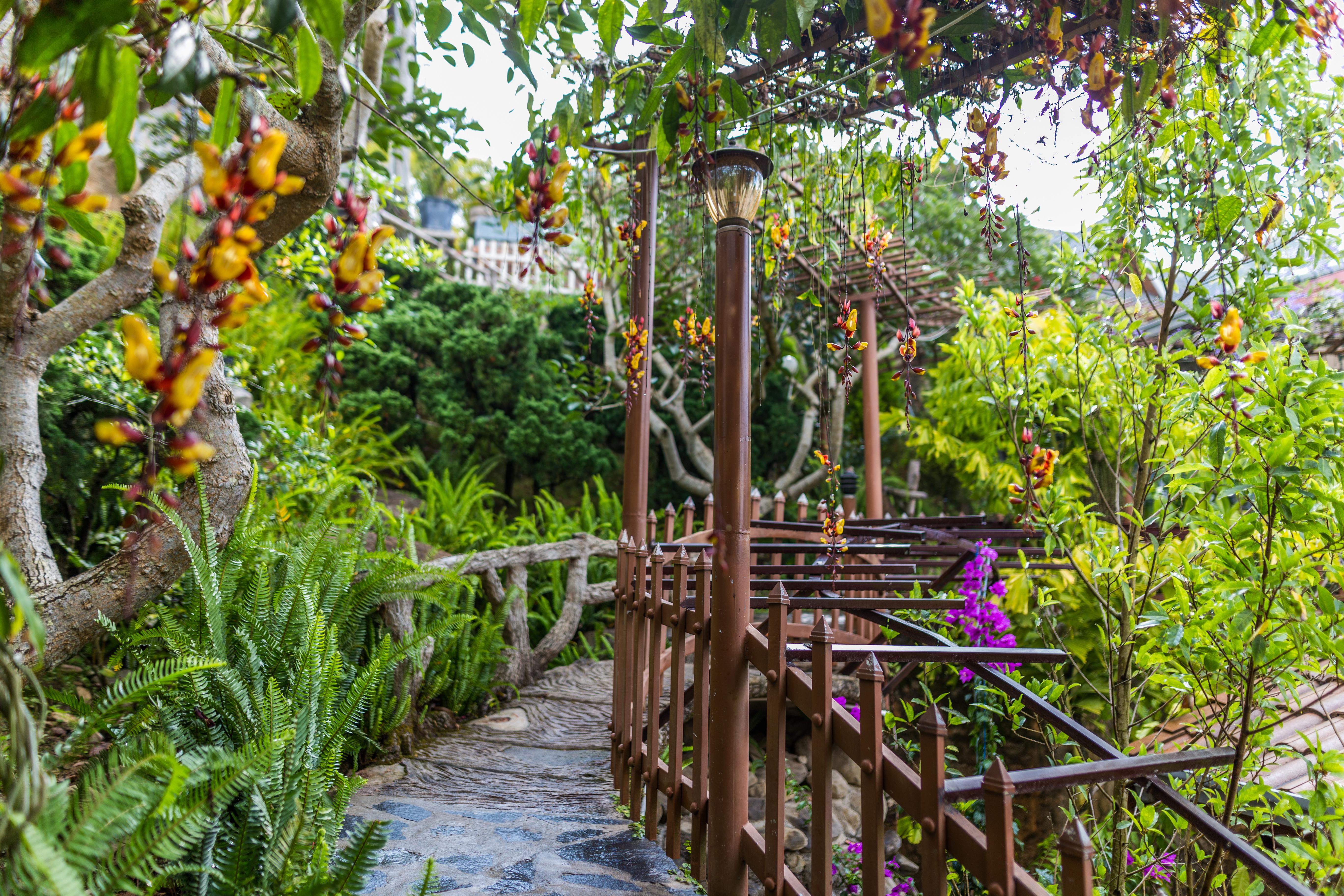 Zen Valley Dalat Dış mekan fotoğraf