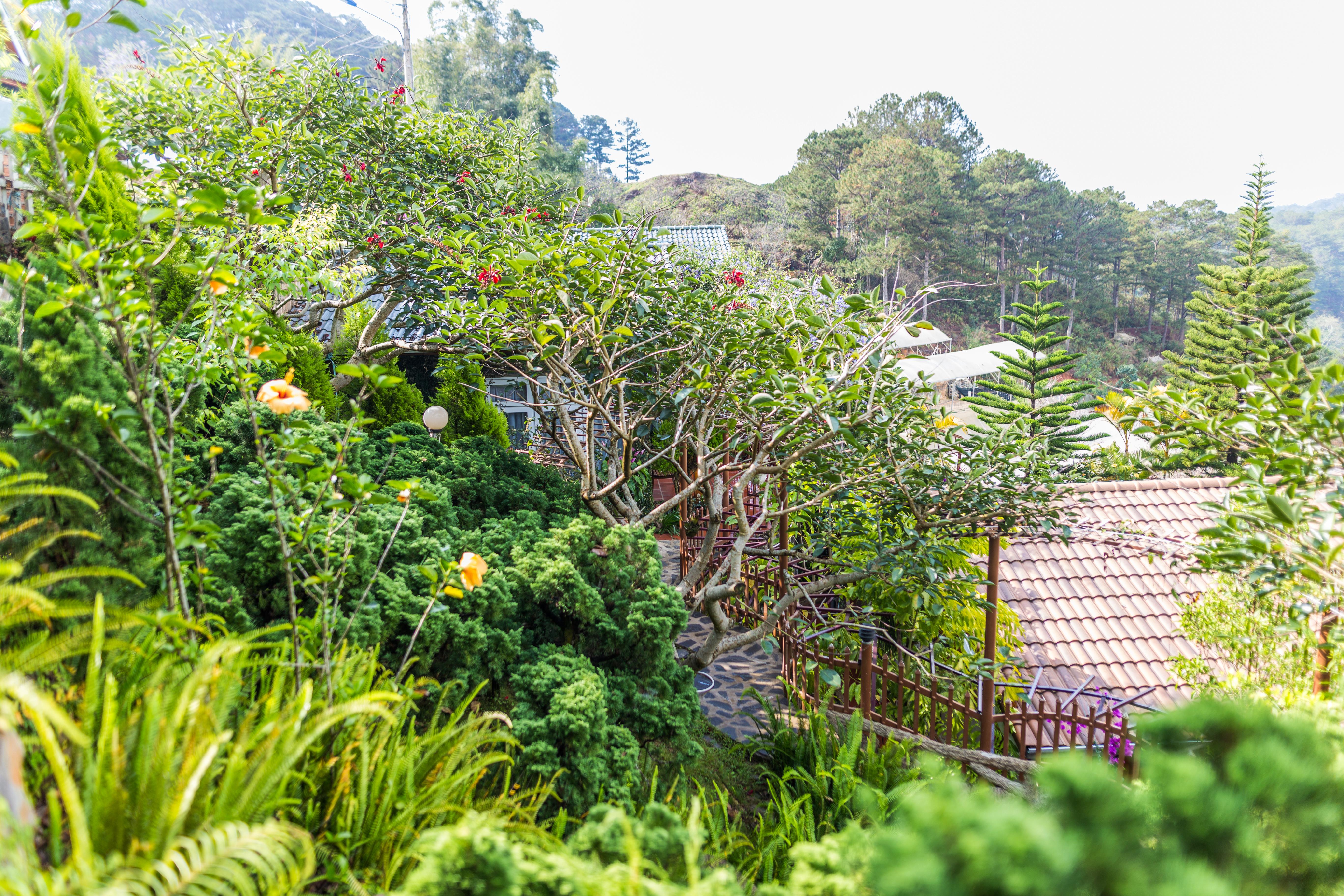 Zen Valley Dalat Dış mekan fotoğraf